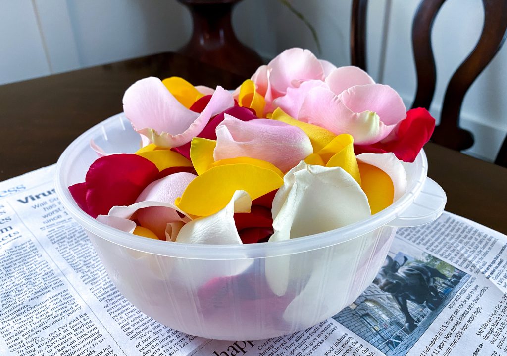 colorful rose petals in a bowl