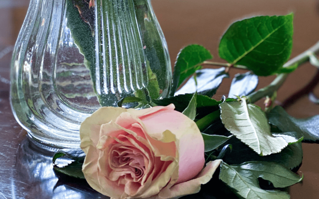 How To Make Rosewater for Glowing Skin