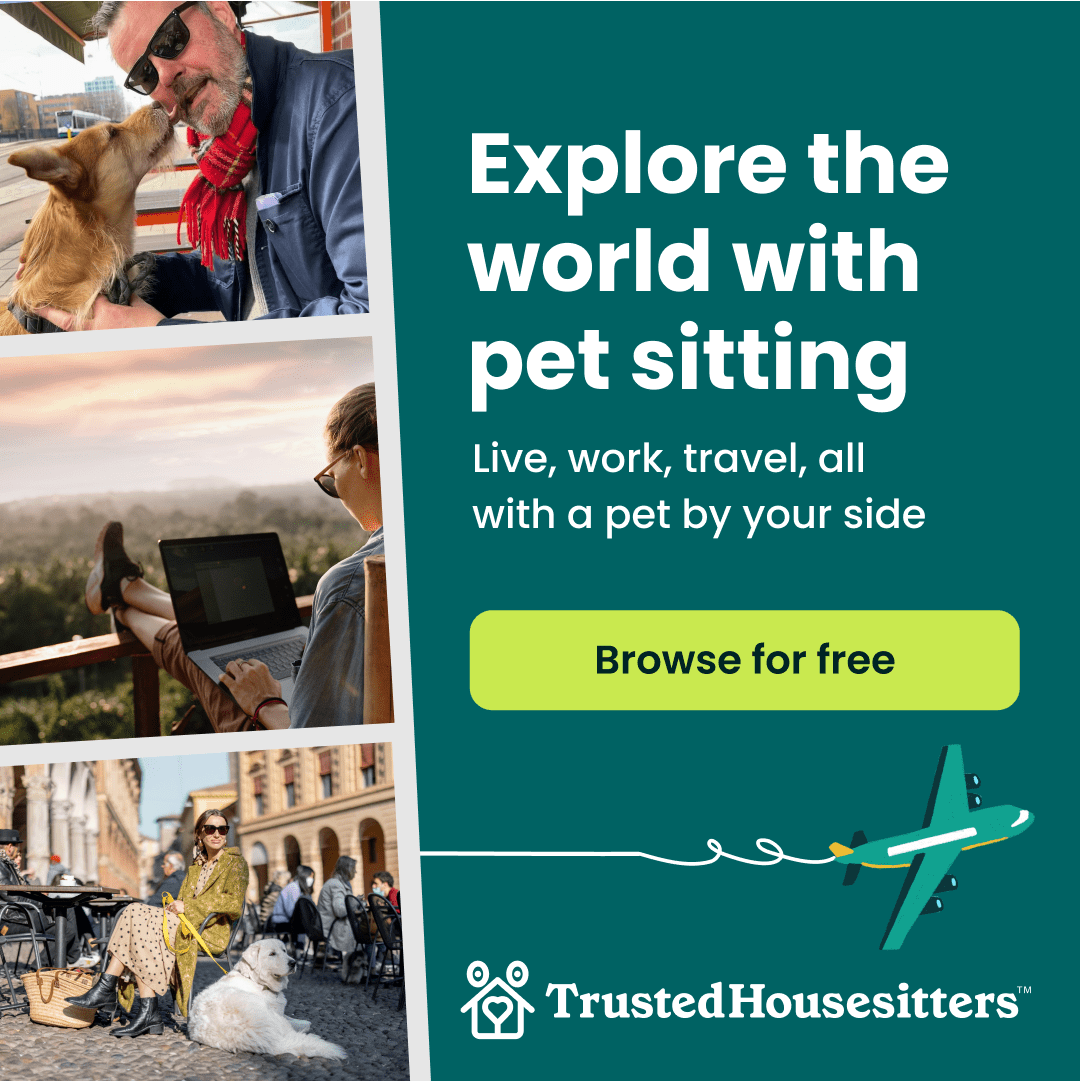 image showing different people traveling with cute pets